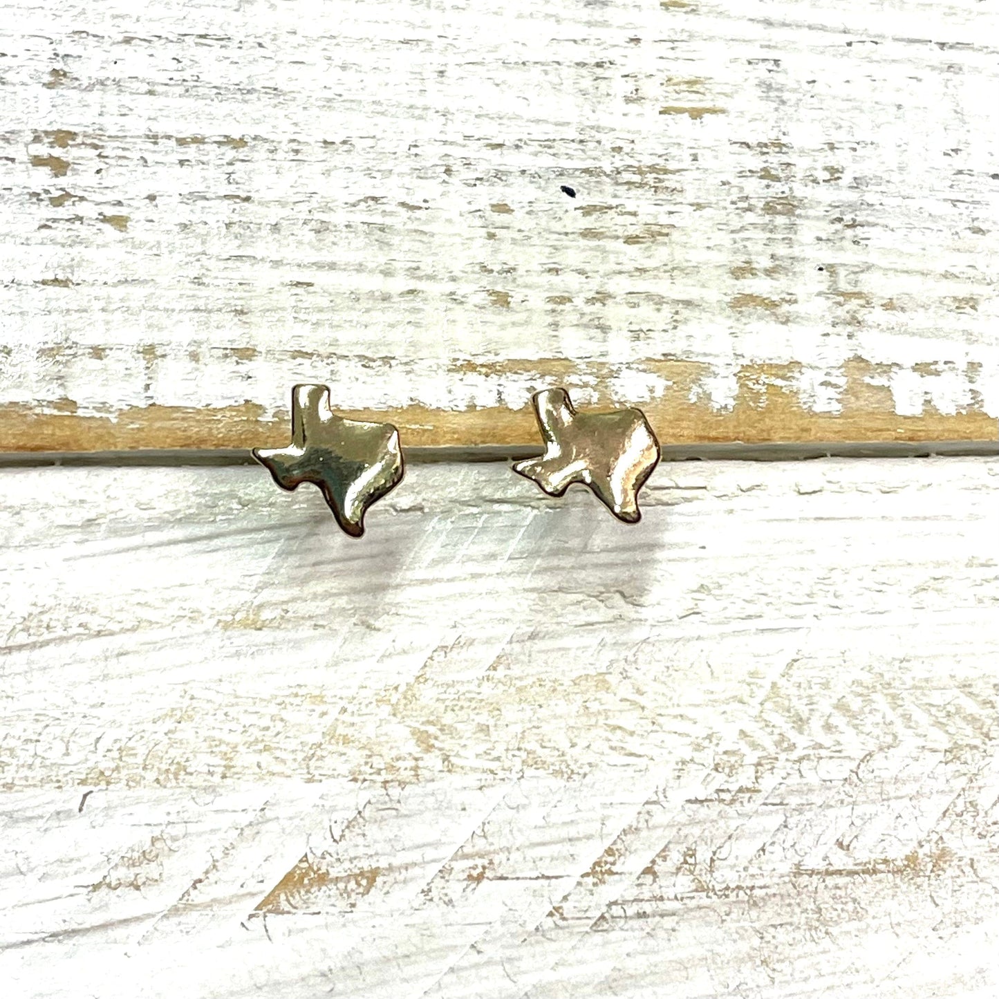 Envy Stylz Boutique Women - Accessories - Earrings Small Gold Texas Stud Earrings