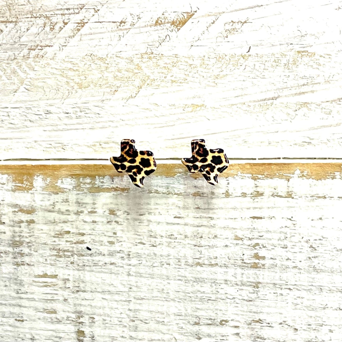 Envy Stylz Boutique Women - Accessories - Earrings Small Leopard Texas Stud Earrings