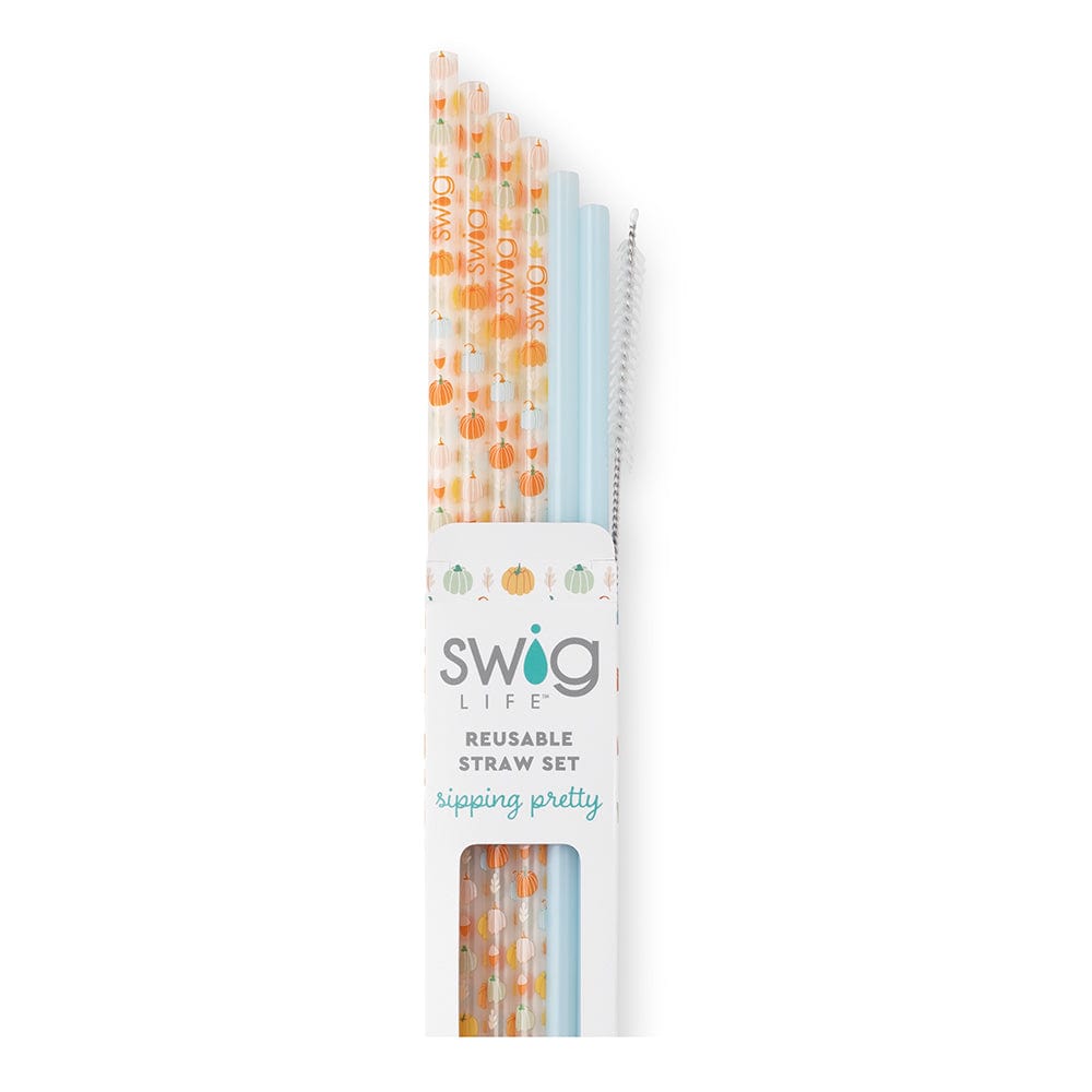 Swig Tumbler Pumpkin Spice + Light Blue Reusable Straw Set