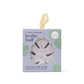 DM Merchandising Lemon Lavender In The Buff Super Sudsy Soap Sponge