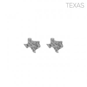 Envy Stylz Boutique Women - Accessories - Earrings Hammered Silver Texas Stud Earrings