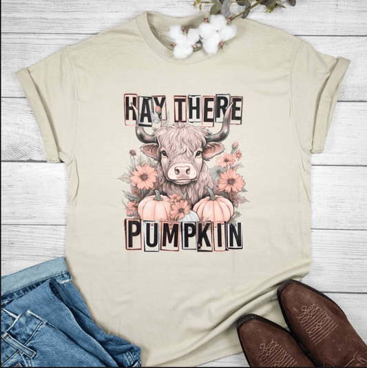 Envy Stylz Boutique Women - Apparel - Shirts - T-Shirts Hay There Pumpkin Graphic Tee