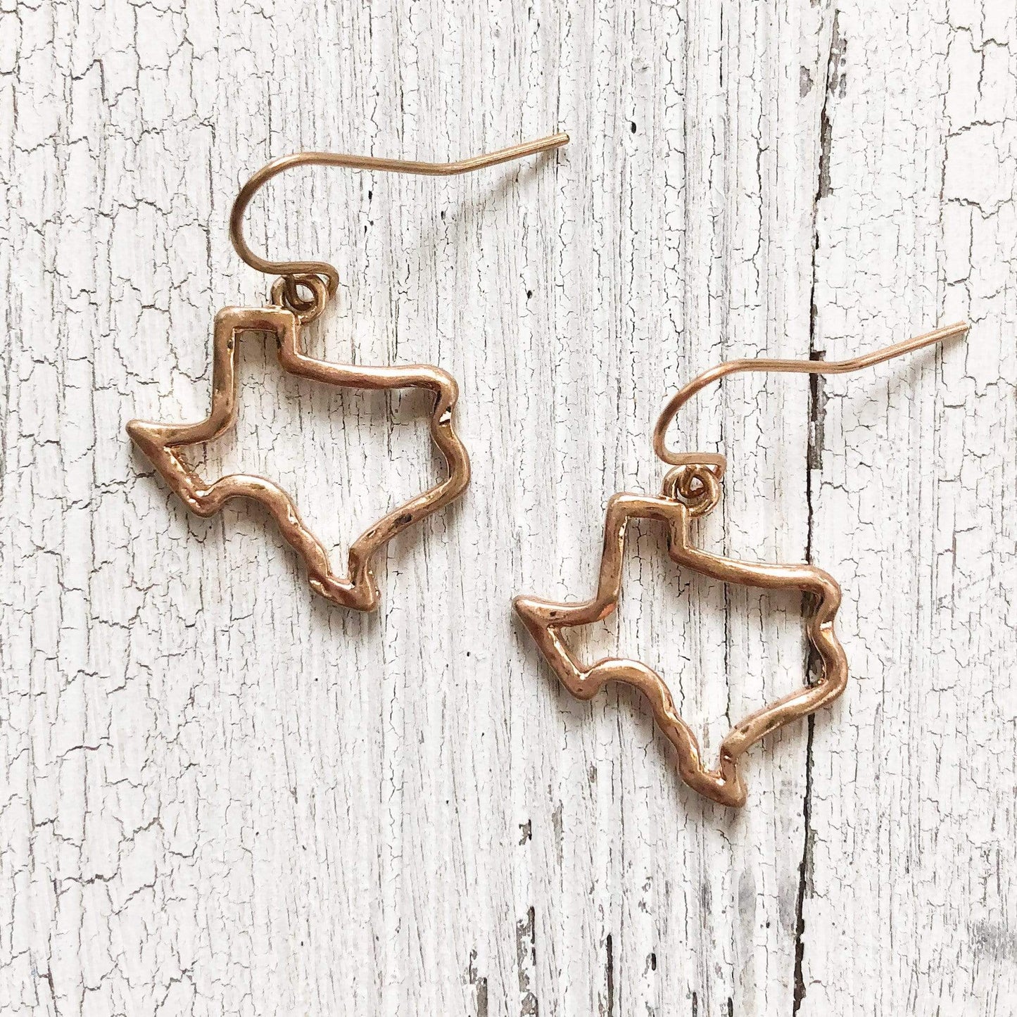 Envy Stylz Boutique Women - Accessories - Necklace Gold Texas Dangle Earrings